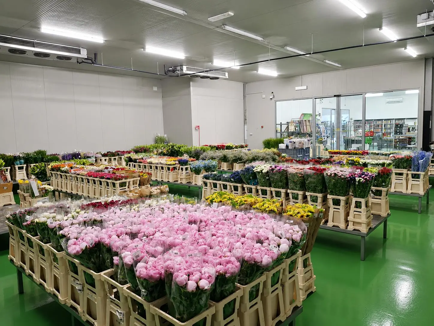 Banco Torino Fiori con fiori e piante pronti